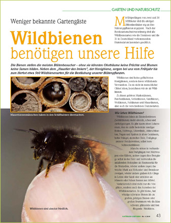 Wildbienen im Garten - Sie benötigen unsere Hilfe